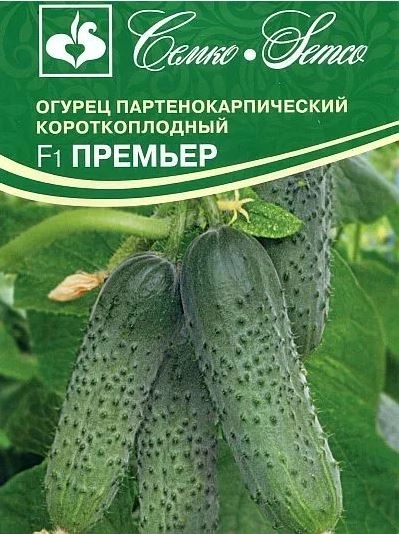 Огурец Премьер Семко Ц