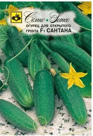 Огурец Сантана Семко Ц