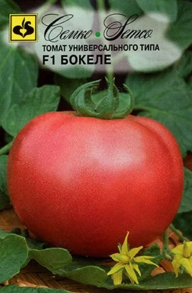 Томат Бокеле Семко Ц