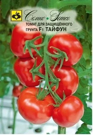 Томат Тайфун Семко Ц
