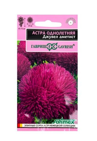 Астра Джувел Аметист Эксклюзив Гавриш Ц