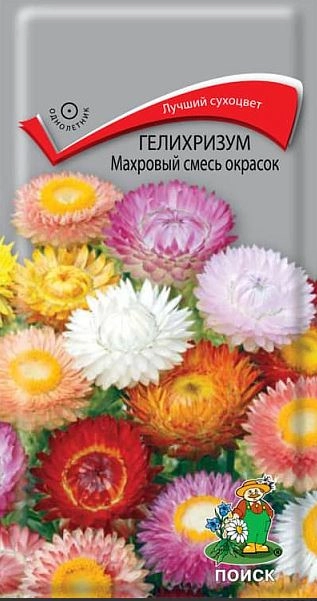 Гелихризум Махровый смесь окрасок 0,25гр