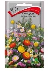 Сухоцветы Застывшая музыка 0,3гр