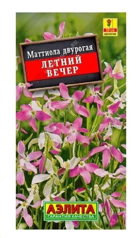 Маттиола Летний вечер 1г