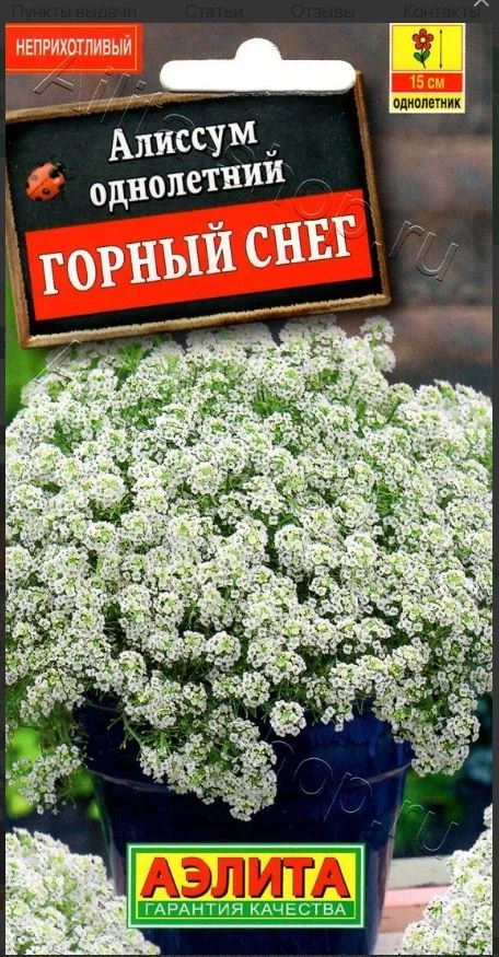 Алиссум Горный снег 0.1г