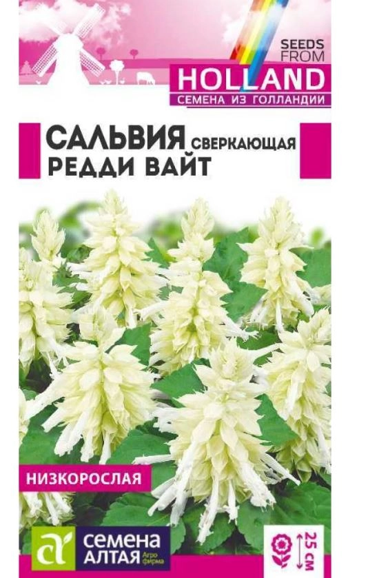 Сальвия Редди Вайт сверкающая/Сем Алт/цп 5 шт.