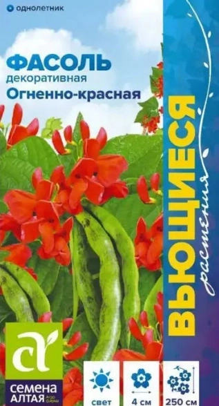 Фасоль вьющаяся Огненно-красная/Сем Алт/цп 5 гр.