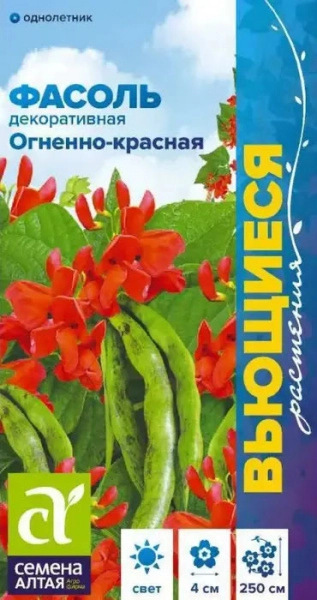 Фасоль вьющаяся Огненно-красная/Сем Алт/цп 5 гр.