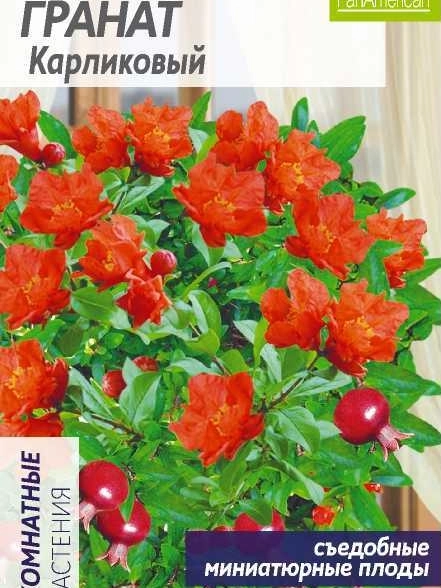 Гранат Карликовый/Сем Алт/цп 5 шт.