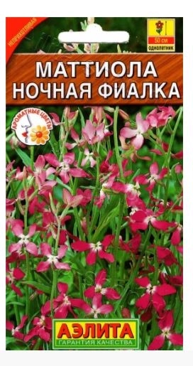 Маттиола Ночная фиалка