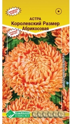 Астра однолетняя королевский размер Абрикосовая 0,1гр.