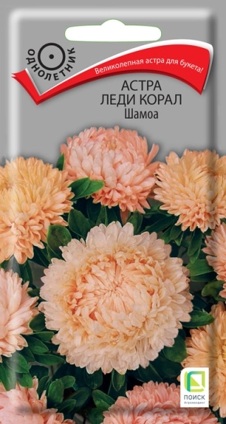 Астра однолетняя Леди Корал Шамоа 0,1гр.