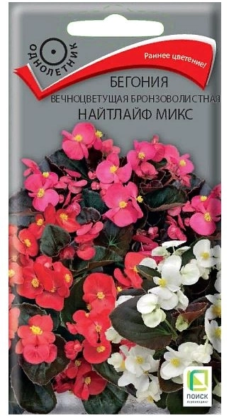 Бегония вечноцветущая бронзоволистная Найтлайф Микс 15шт