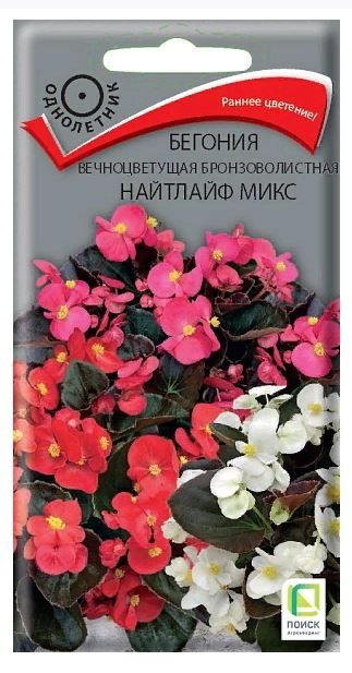 Бегония вечноцветущая бронзоволистная Найтлайф Микс 15шт