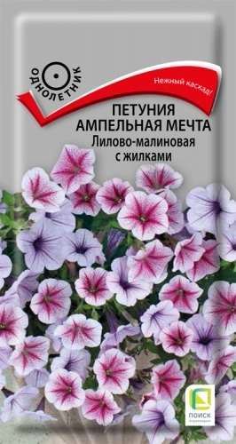 Петуния ампельная Мечта Лилово-малиновая с жилками 5шт