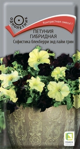 Петуния гибридная Софистика Блекберри энд лайм грин 5шт