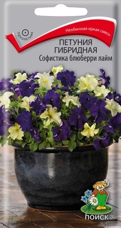 Петуния гибридная Софистика Блюберри лайм 5шт