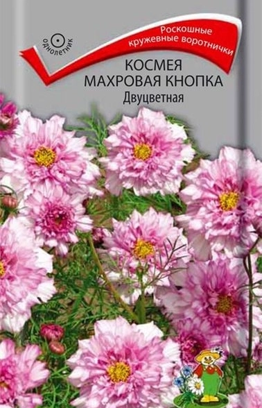 Космея Махровая кнопка Двуцветная ЦВ 0,1гр