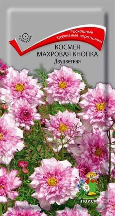 Космея Махровая кнопка Двуцветная ЦВ 0,1гр