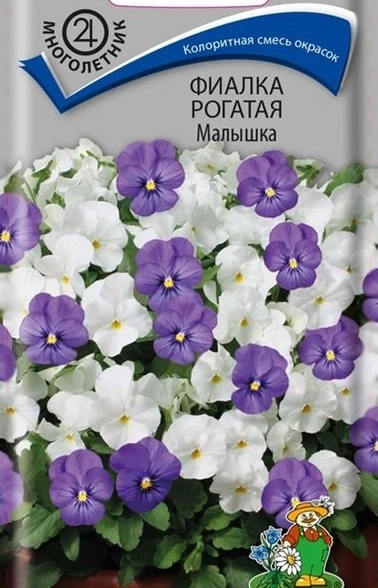 Фиалка рогатая Малышка ЦВ 0,1гр