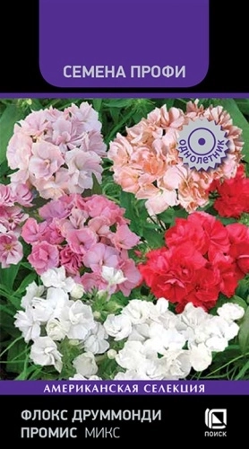 Флокс друммонди Промикс Микс ЦВ 10шт