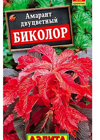 Амарант Биколор Аэлита Ц