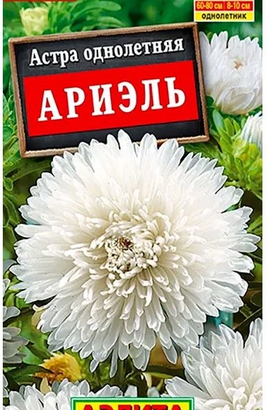 Астра Ариэль Аэлита Ц