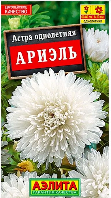 Астра Ариэль Аэлита Ц