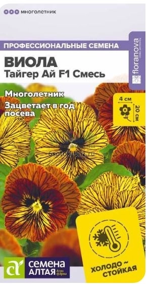 Виола Тайгер ай Аэлита Ц