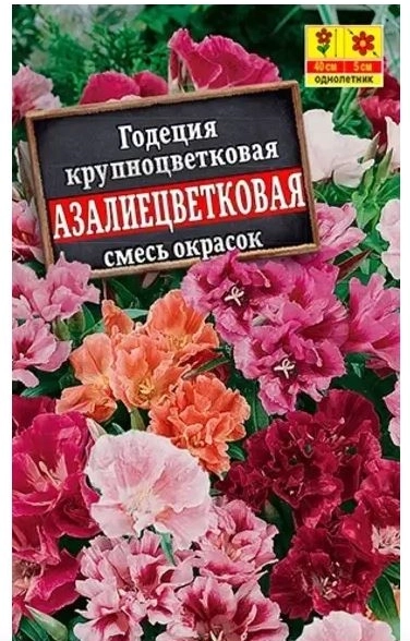 Годеция Азалиецветковая махр. смесь Аэлита Ц