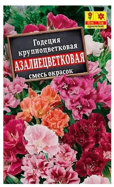 Годеция Азалиецветковая махр. смесь Аэлита Ц
