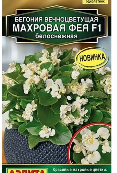 КОМ Бег Фея белоснежная Аэлита Ц х10