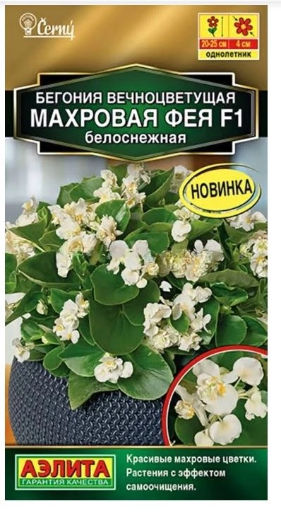 КОМ Бег Фея белоснежная Аэлита Ц х10