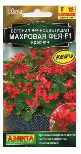 КОМ Бег Фея красная Аэлита Ц х10