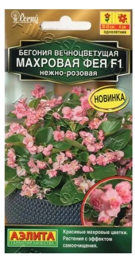 КОМ Бег Фея нежно-розовая Аэлита Ц х10
