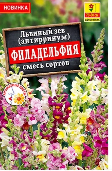 Львиный зев Филадельфия смесь Аэлита Ц
