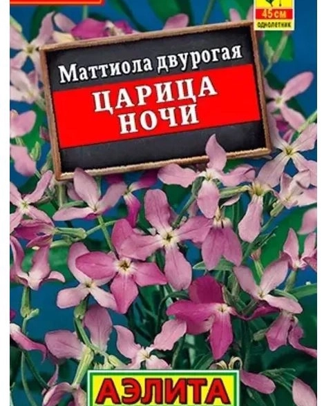 Маттиола Царица ночи Лидер Аэлита Ц