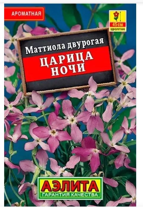 Маттиола Царица ночи Лидер Аэлита Ц