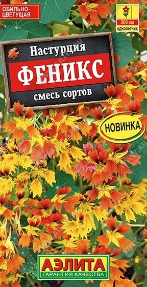 Настурция Феникс Аэлита Ц