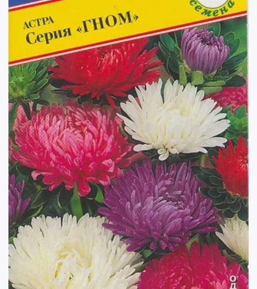 Астра Гном смесь кит Престиж Ц
