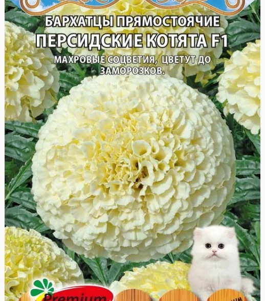 Бархатцы Персидские котята F1 Премиум Сидс Ц