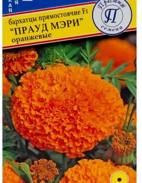 Бархатцы Прауд Мэри Оранжевые Престиж Ц