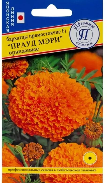 Бархатцы Прауд Мэри Оранжевые Престиж Ц
