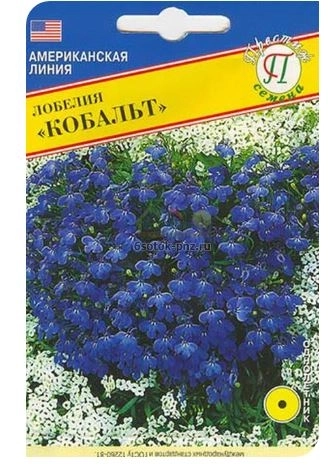 Лобелия Кобальт Престиж Ц