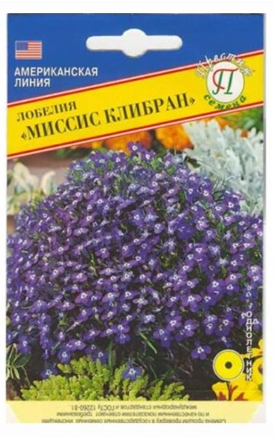 Лобелия Миссис Клибран Престиж Ц