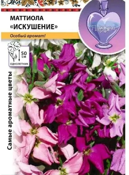 Маттиола Искушение смесь НК Ц