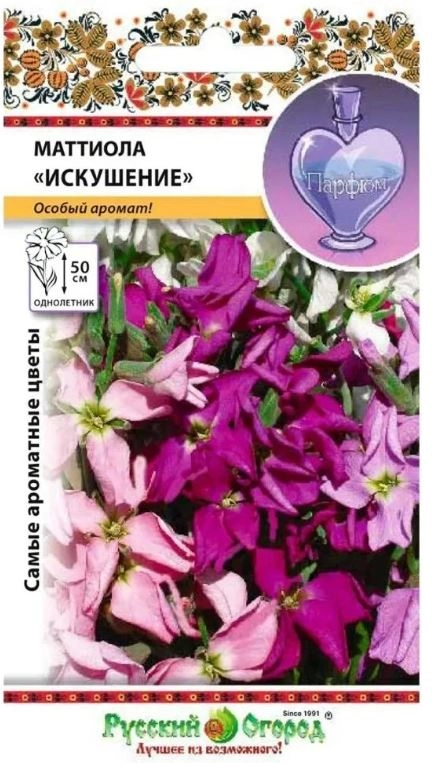 Маттиола Искушение смесь НК Ц