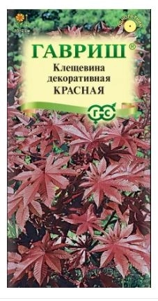 Клещевина Красная Гавриш Ц