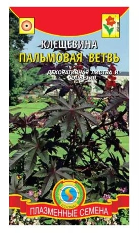 Клещевина Пальмовая ветвь Плазма Ц