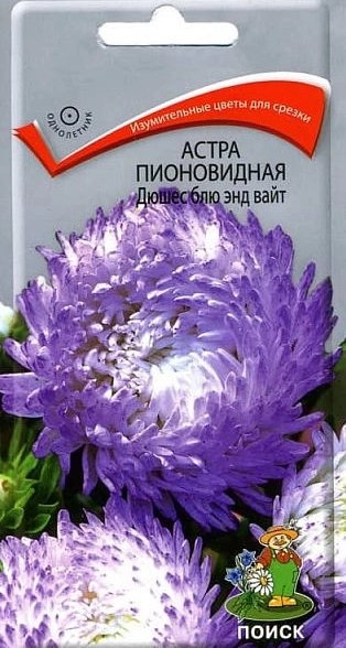 Астра (однолетняя) пионовидная Дюшес блю энд вайт (ЦВ) 0,3гр.